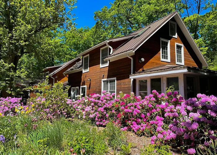 Top 17 Bed and Breakfasts in South Haven, Michigan(MI), United States